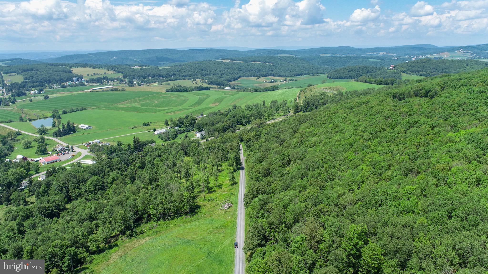 Lot 5 Greenwood Ridge Road Accident, MD 21520 - Photo 8 of 13 a view of a lush green forest with lots of trees