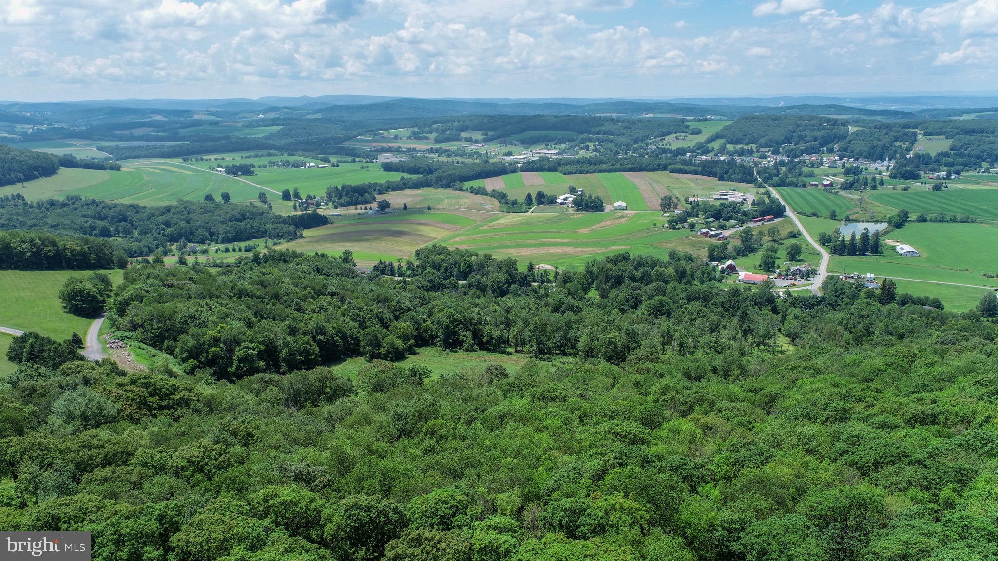 Lot 5 Greenwood Ridge Road Accident, MD 21520 - Photo 10 of 13 an aerial view of a residential houses with outdoor space and garden
