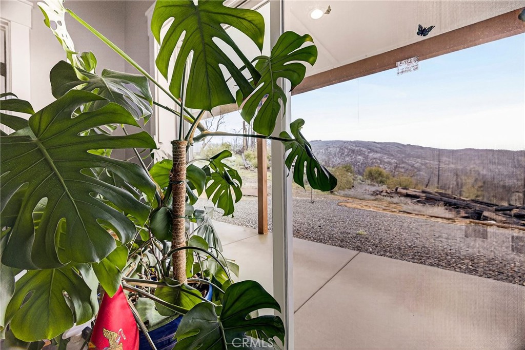 603 Zink Road Berry Creek, CA 95916 - Photo 30 of 69