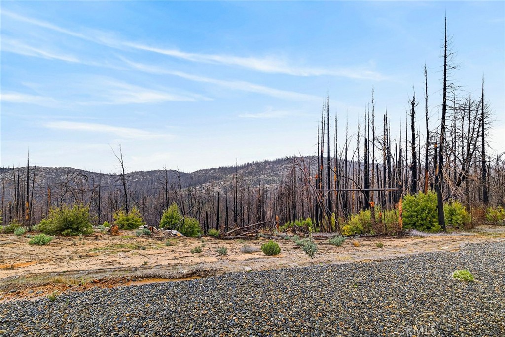 603 Zink Road Berry Creek, CA 95916 - Photo 62 of 69
