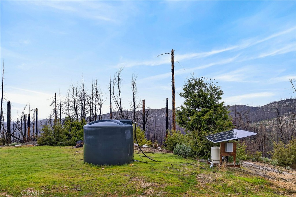 603 Zink Road Berry Creek, CA 95916 - Photo 63 of 69 a view of a garden with a tree in the background