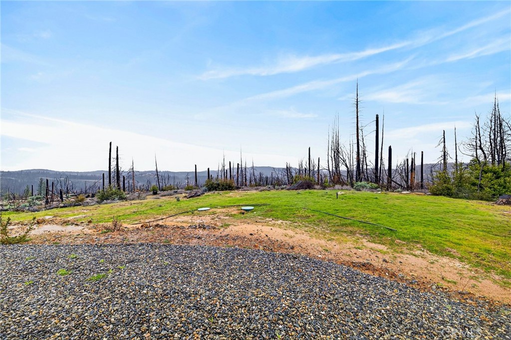 603 Zink Road Berry Creek, CA 95916 - Photo 64 of 69 a view of a swimming pool and a yard