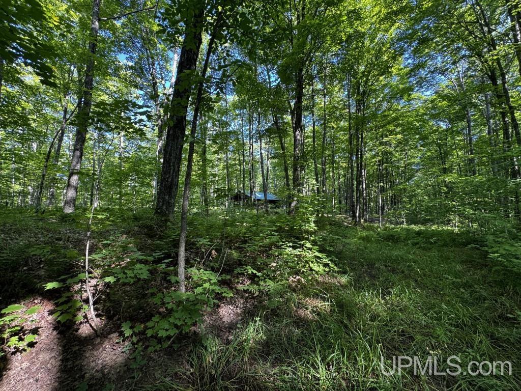 23240 China Road Nisula, MI 49952 - Photo 36 of 45 Gallery Image 36