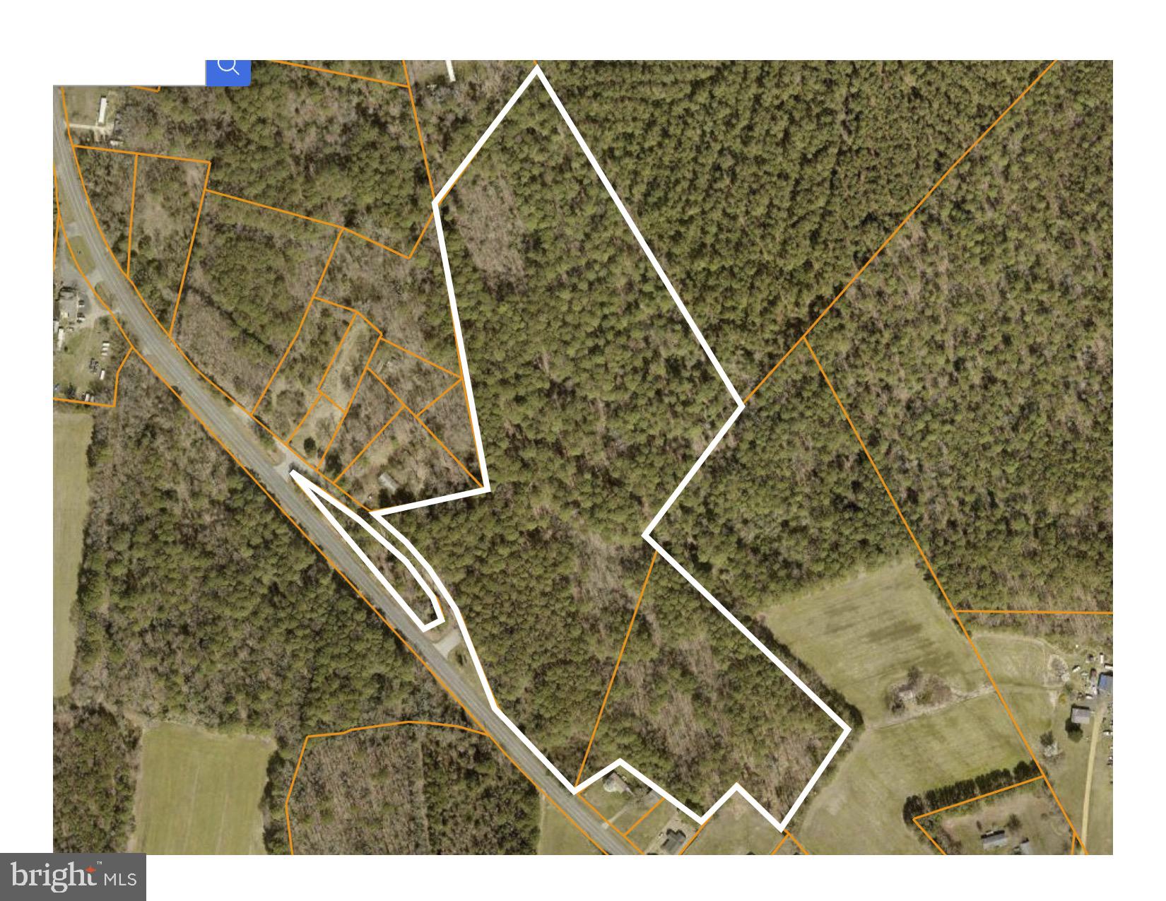 Point Lookout Road Scotland, MD 20687 - Photo 4 of 19 Wooded hunter's paradise