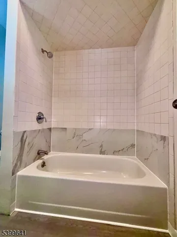 a bathroom with a bathtub and shower