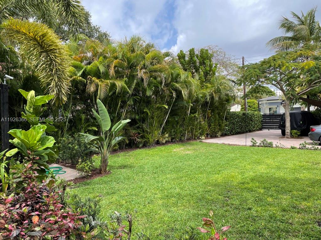 2654 Southwest 25th Terrace Miami, FL 33133 - Photo 32 of 36 a view of a yard with a tree