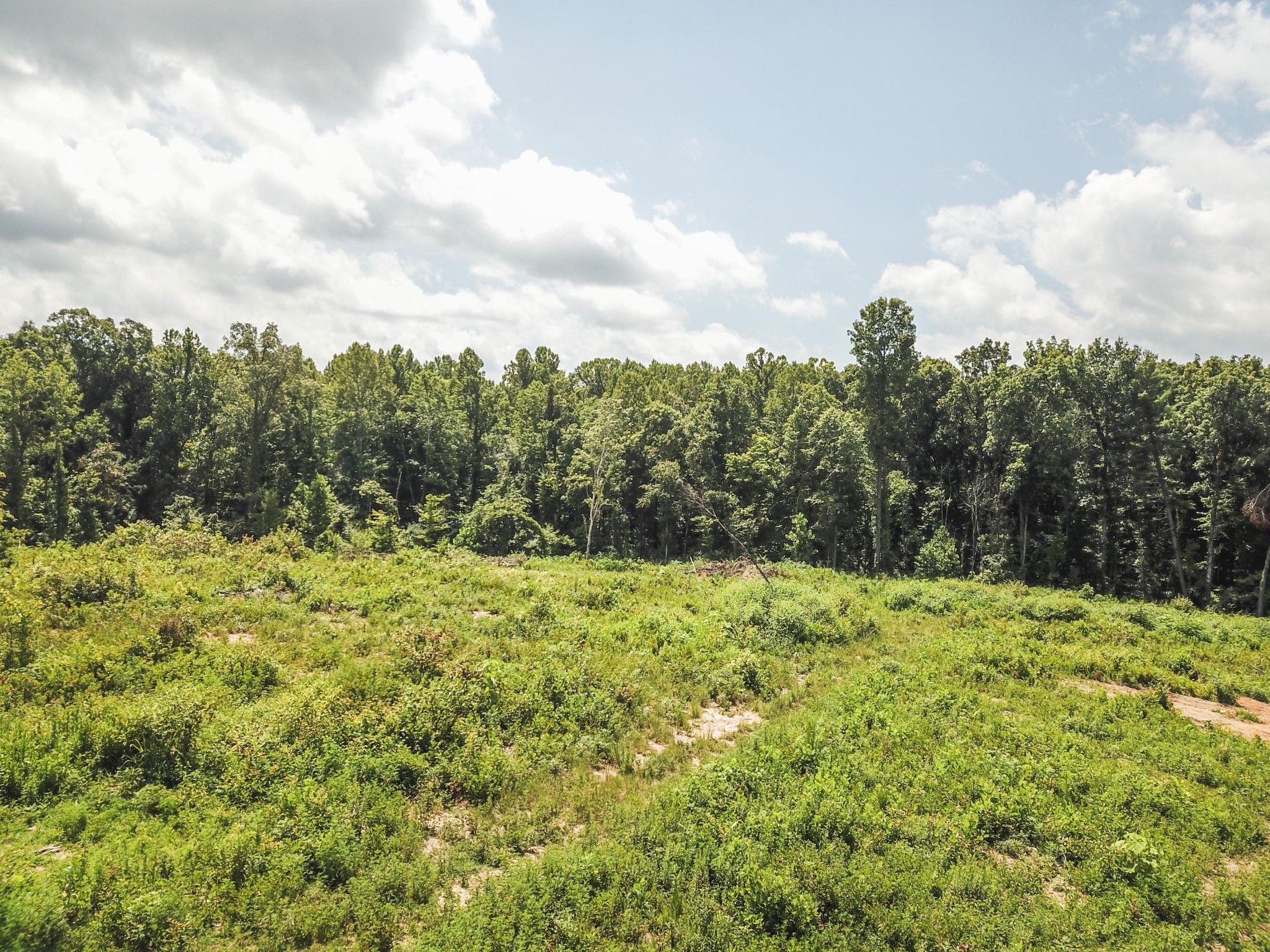 1357 Pine Grove Providence Road Loudon, TN 37774 - Photo 19 of 28 Gallery Image 19