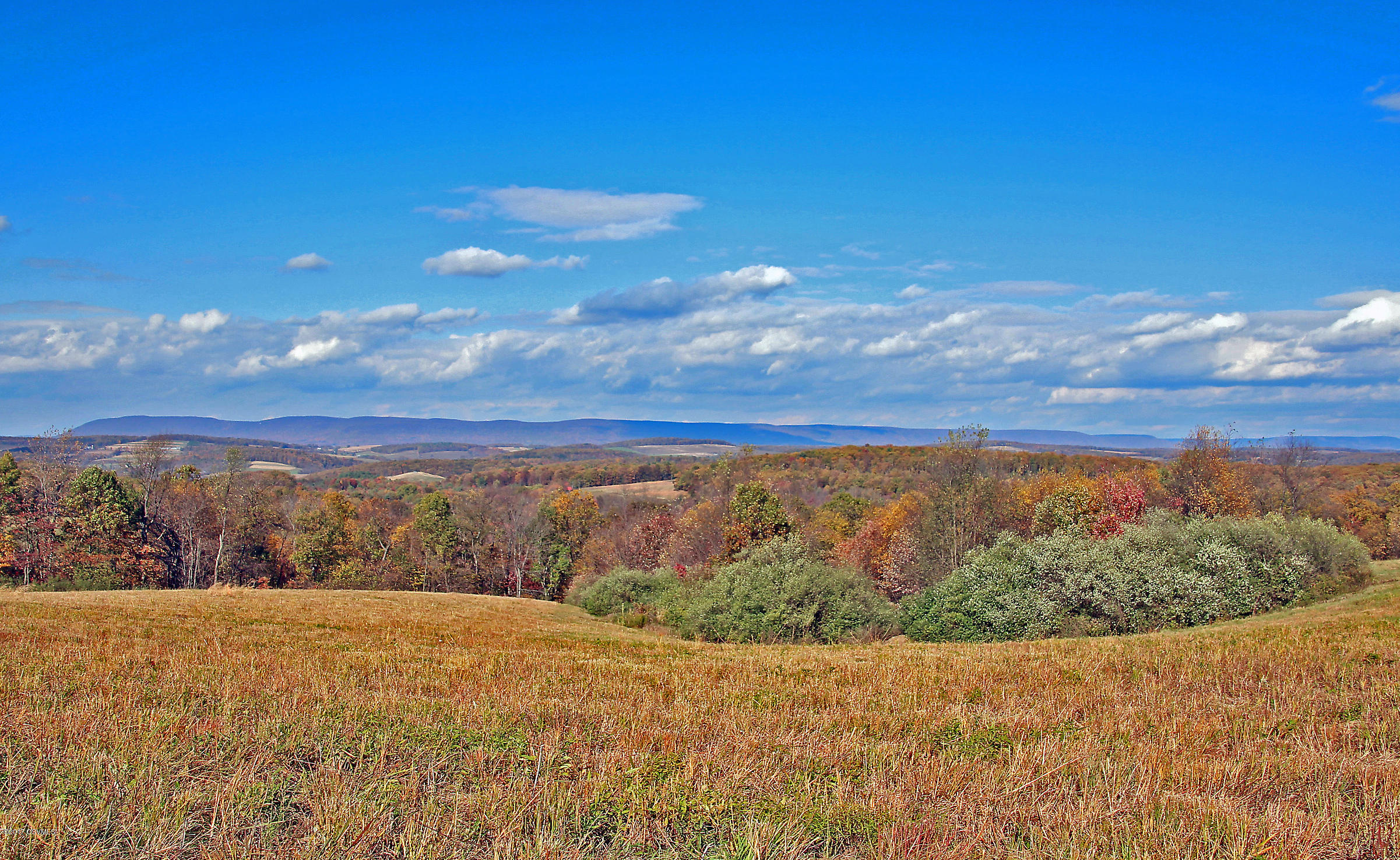 Maple Ridge Millville, PA 17846 - Photo 1 of 5