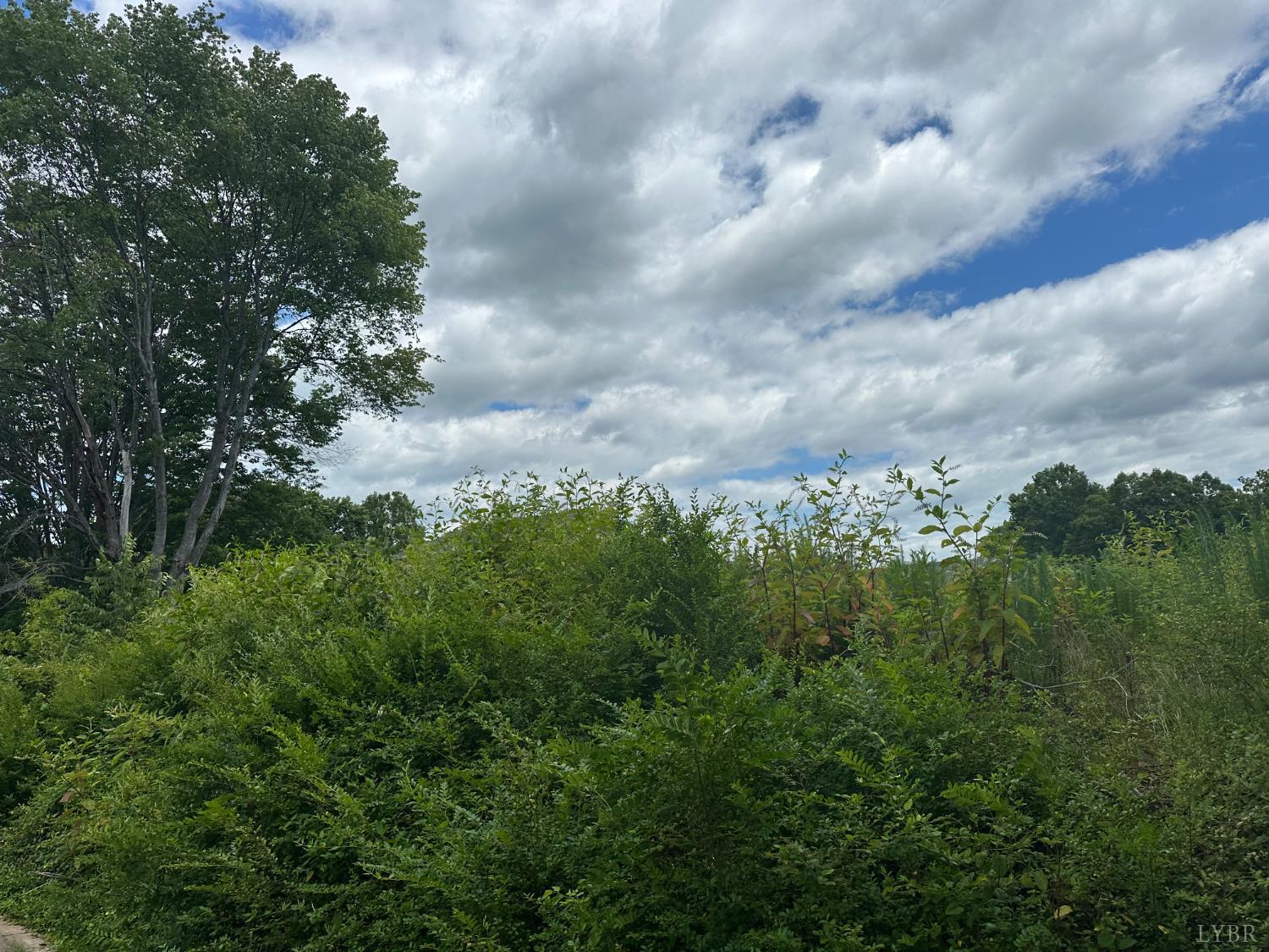120 Kennon Drive Danville, VA 24540 - Photo 3 of 4 a view of a city and a lots of trees