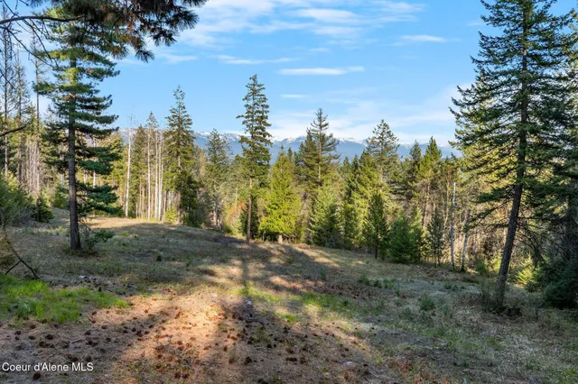 $170,000 | Lot B Lot B Spring View Lane, Sagle, ID 83860