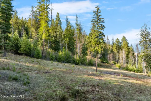 $170,000 | Lot B Lot B Spring View Lane, Sagle, ID 83860