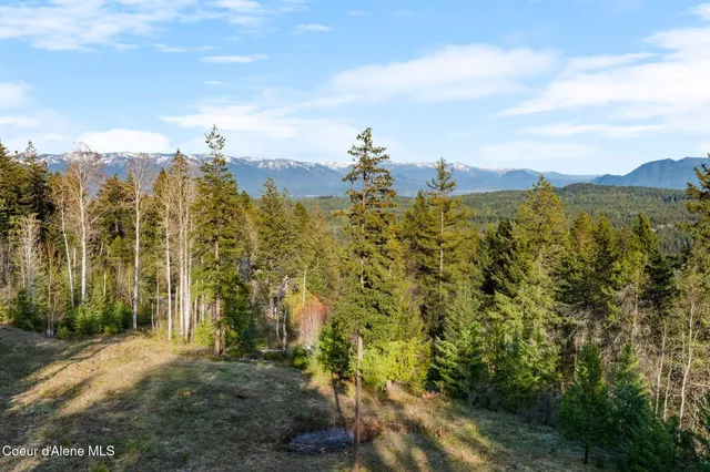 $170,000 | Lot B Lot B Spring View Lane, Sagle, ID 83860