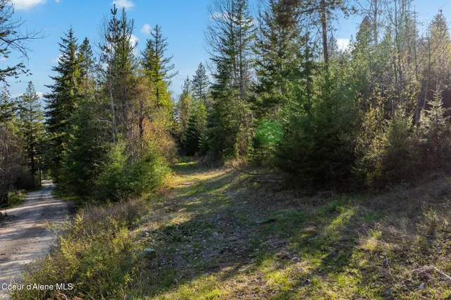 $170,000 | Lot B Lot B Spring View Lane, Sagle, ID 83860