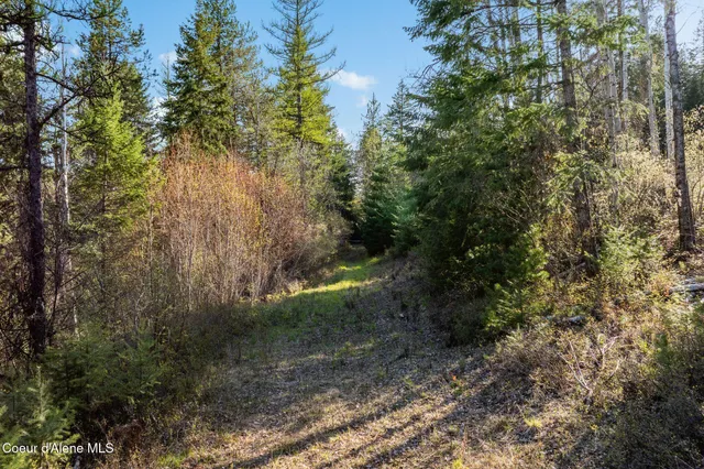 $170,000 | Lot B Lot B Spring View Lane, Sagle, ID 83860