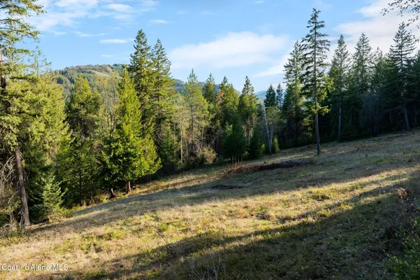 $170,000 | Lot B Lot B Spring View Lane, Sagle, ID 83860