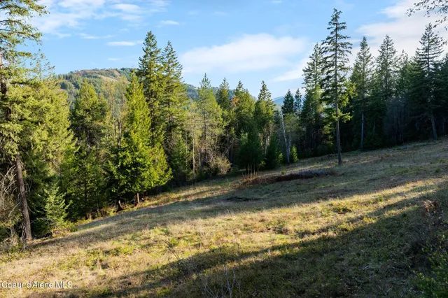 $170,000 | Lot B Lot B Spring View Lane, Sagle, ID 83860