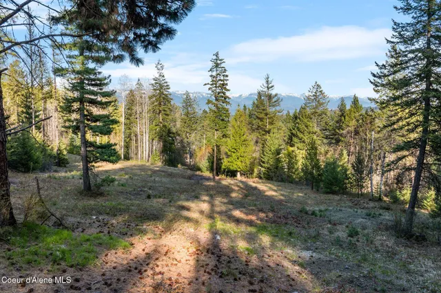 $170,000 | Lot B Lot B Spring View Lane, Sagle, ID 83860