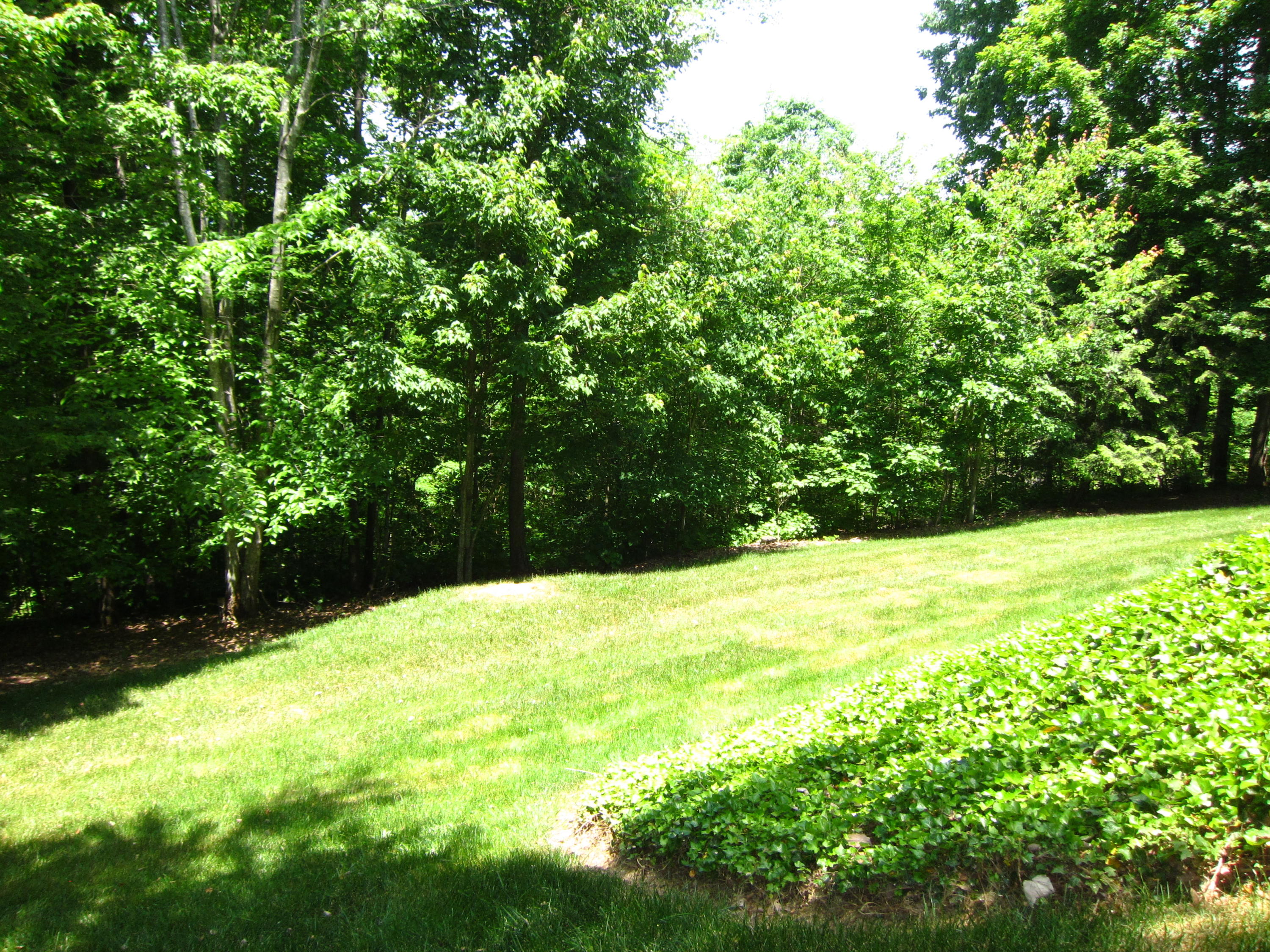 108 Wesley Lane Oak Ridge, TN 37830 - Photo 12 of 32 IMG_0030