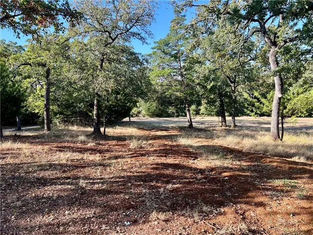 a view of outdoor space with trees