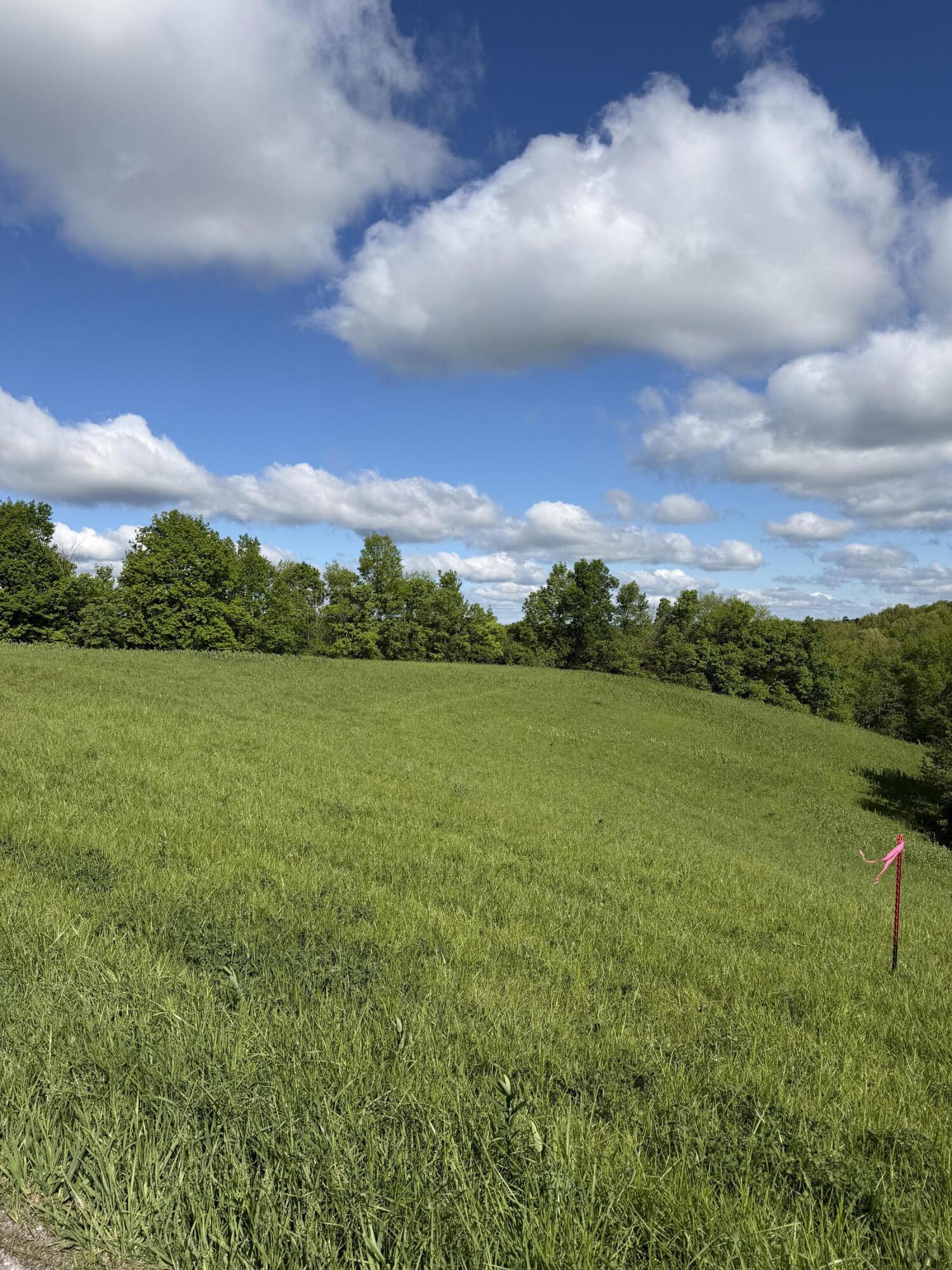 5.28-ac Chipman Ridge Road Williamstown, KY 41097 - Photo 2 of 5