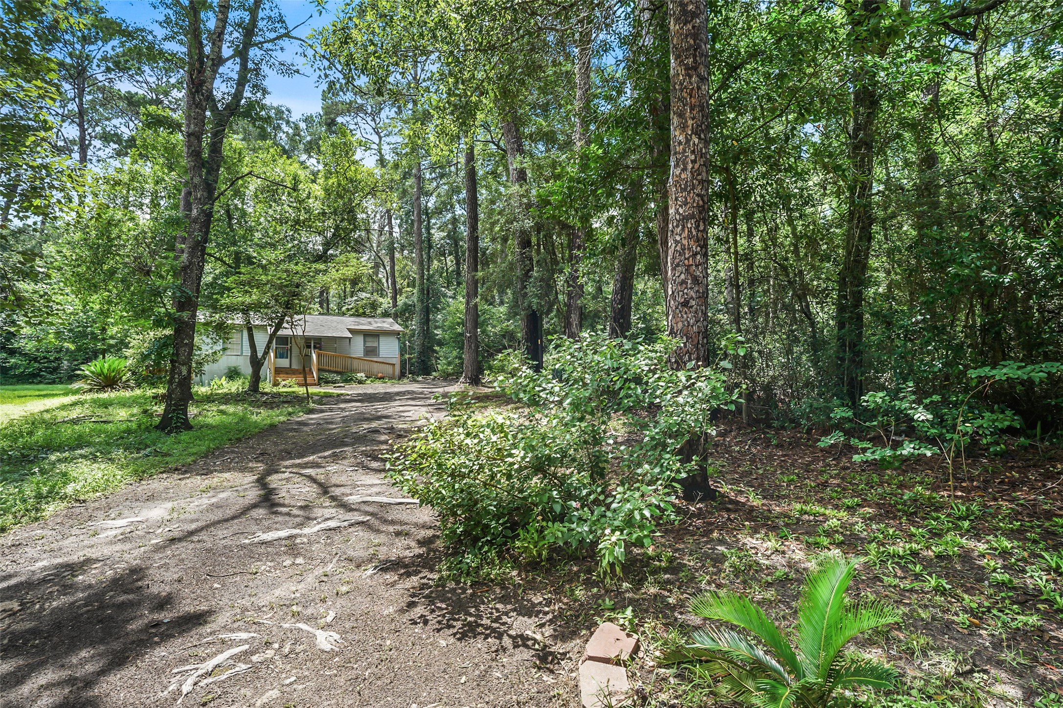 6387 Oak Knoll Road Montgomery, TX 77316 - Photo 7 of 30 a backyard of a house with lots of green space