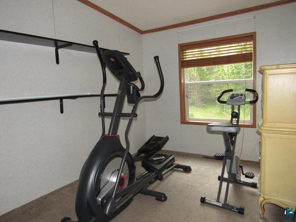 5243 East Neuman Road Superior, WI 54880 - Photo 20 of 35 Workout room with carpet flooring and crown molding