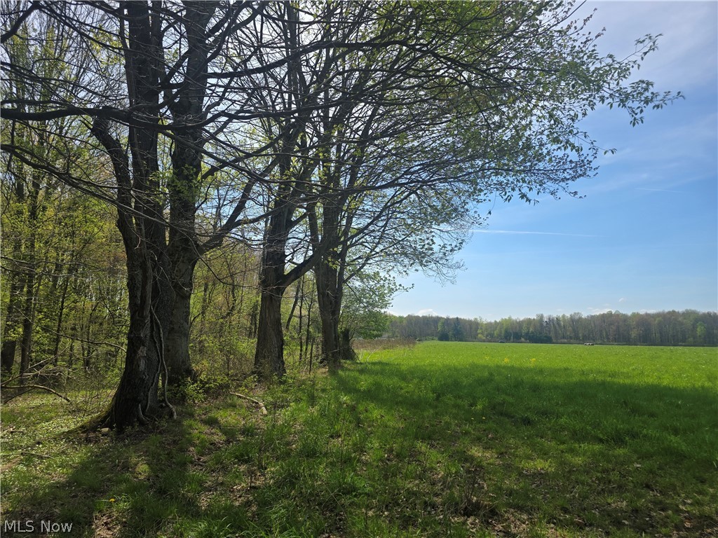 Tische Road Jefferson, OH 44047 - Photo 2 of 21