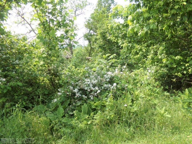 Lot 63 Horseshoe Farm Road Narrows, VA 24124 - Photo 1 of 1 Gallery Image 1