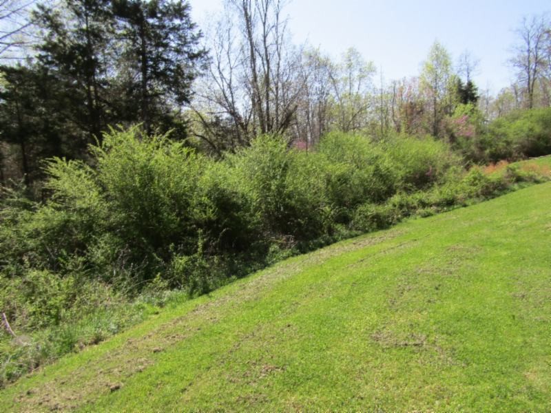 57 Poor House Ridge Road Celina, TN 38551 - Photo 17 of 25 Gallery Image 17