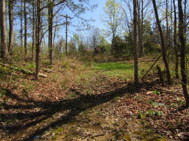 57 Poor House Ridge Road Celina, TN 38551 - Photo 19 of 25 Gallery Image 19
