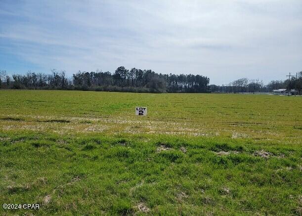 Lot #2 Tri County Road Graceville, FL 32440 - Photo 1 of 3