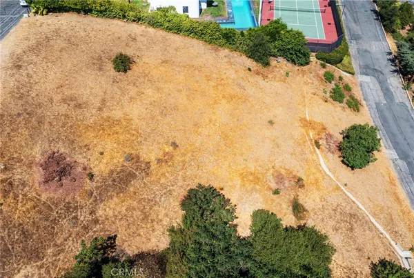 a view of a yard with plants