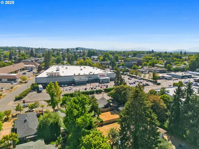 an aerial view of a house with a garden