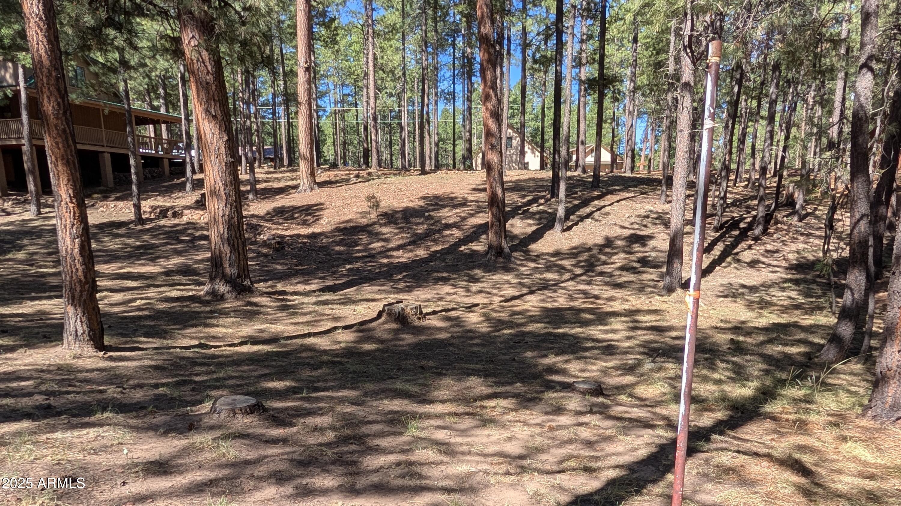 2425 Tall Trees Loop Forest Lakes, AZ 85931 - Photo 39 of 43 a view of a yard of the house
