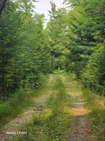 $60,000 | Lot 7-46-9 Lot 7-46-9 Clewley Road, Glenburn, ME 04401