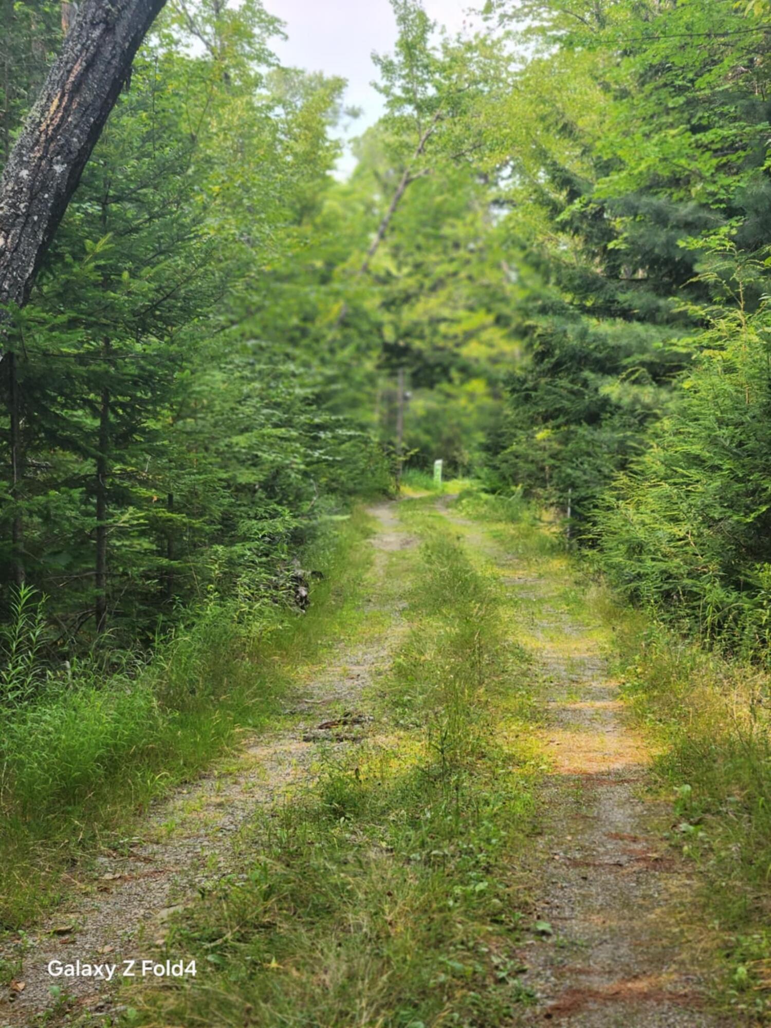 Lot 7-46-9 Lot 7-46-9 Clewley Road Glenburn, ME 04401 - Photo 3 of 7 fbb3a4ca-f611-467d-bd77-7018cc9718f5