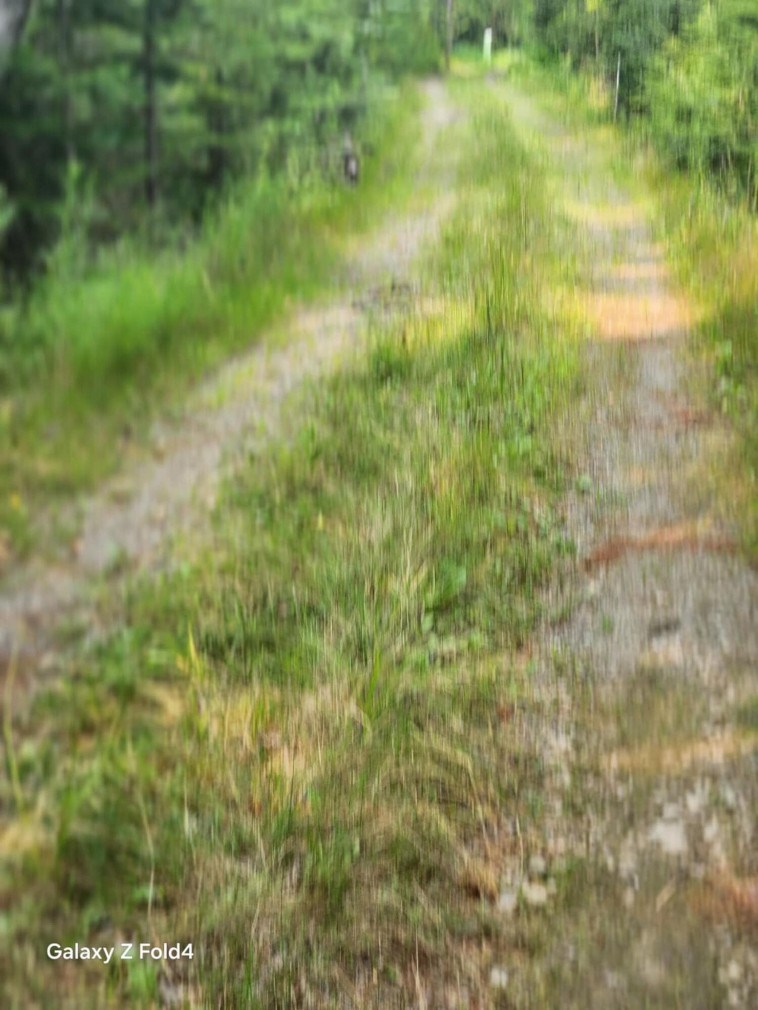 Lot 7-46-9 Lot 7-46-9 Clewley Road Glenburn, ME 04401 - Photo 4 of 7 a58870d0-fe32-4af5-9e9b-86309e32089f