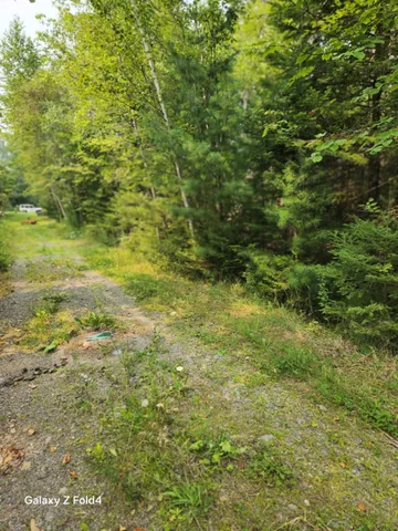 $60,000 | Lot 7-46-9 Lot 7-46-9 Clewley Road, Glenburn, ME 04401