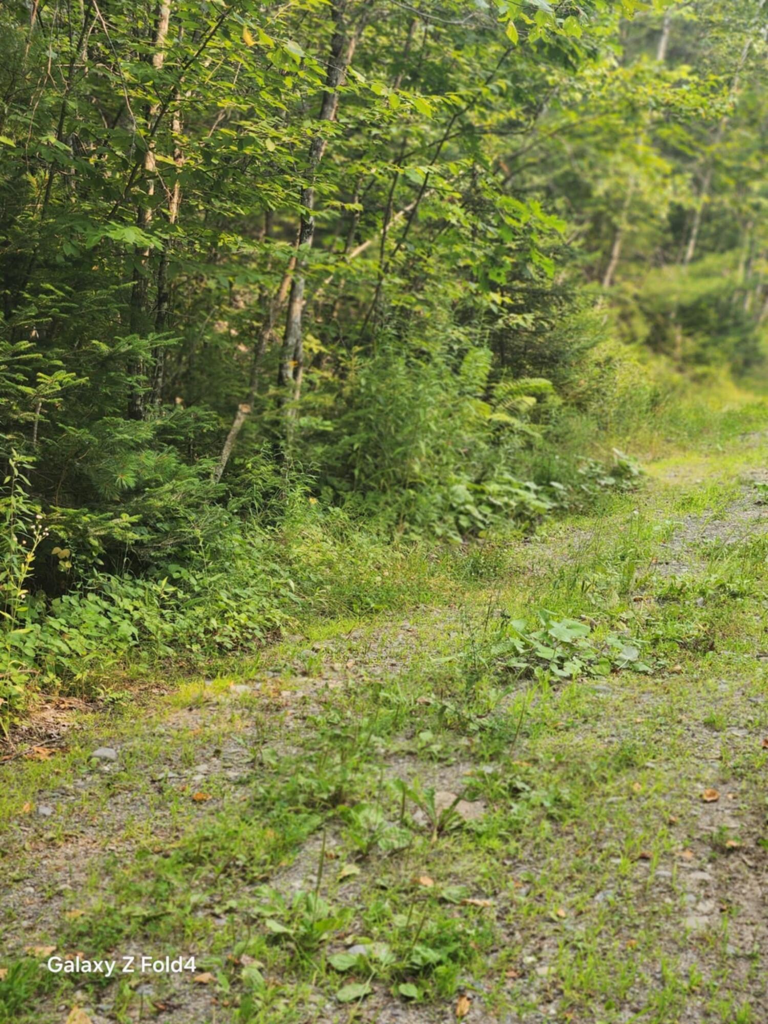 Lot 7-46-9 Lot 7-46-9 Clewley Road Glenburn, ME 04401 - Photo 6 of 7 941078af-baa7-4fde-a7cf-6ab1e072d5cb