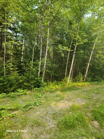 $60,000 | Lot 7-46-9 Lot 7-46-9 Clewley Road, Glenburn, ME 04401