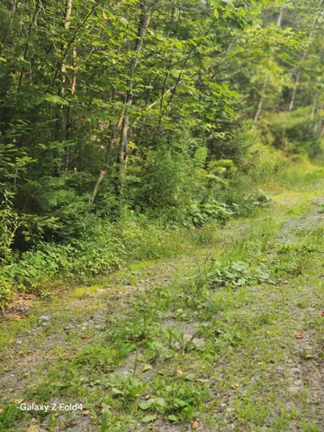 $49,000 | Lot 7-46-9 Lot 7-46-9 Clewley Road, Glenburn, ME 04401