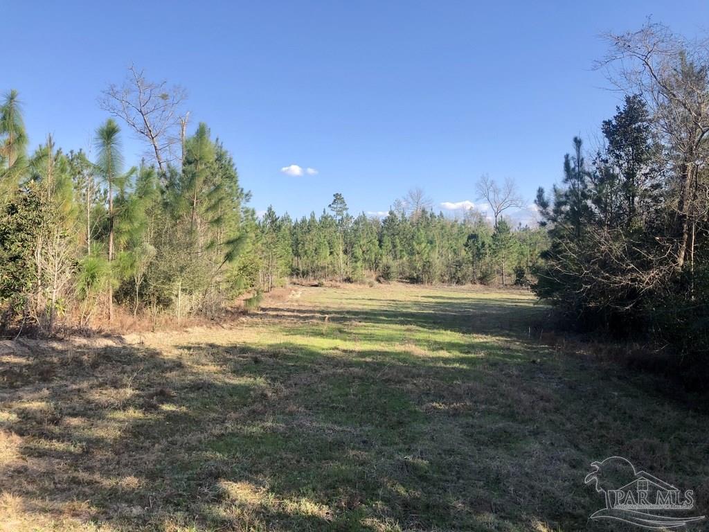 Lot 6-sw Gin Road Pace, FL 32571 - Photo 3 of 10 Gallery Image 3
