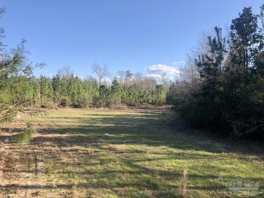 Lot 6-sw Gin Road Pace, FL 32571 - Photo 4 of 10 Gallery Image 4