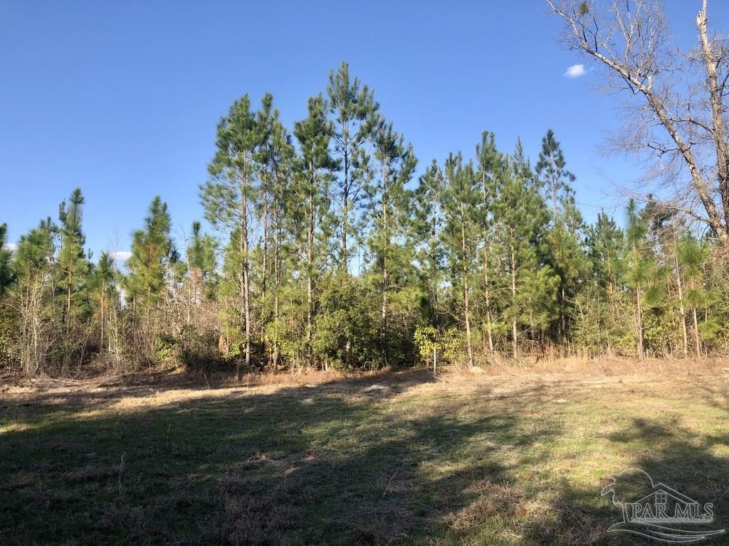 Lot 6-sw Gin Road Pace, FL 32571 - Photo 5 of 10 Gallery Image 5