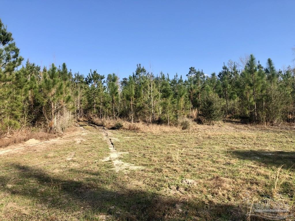 Lot 6-sw Gin Road Pace, FL 32571 - Photo 6 of 10 Gallery Image 6