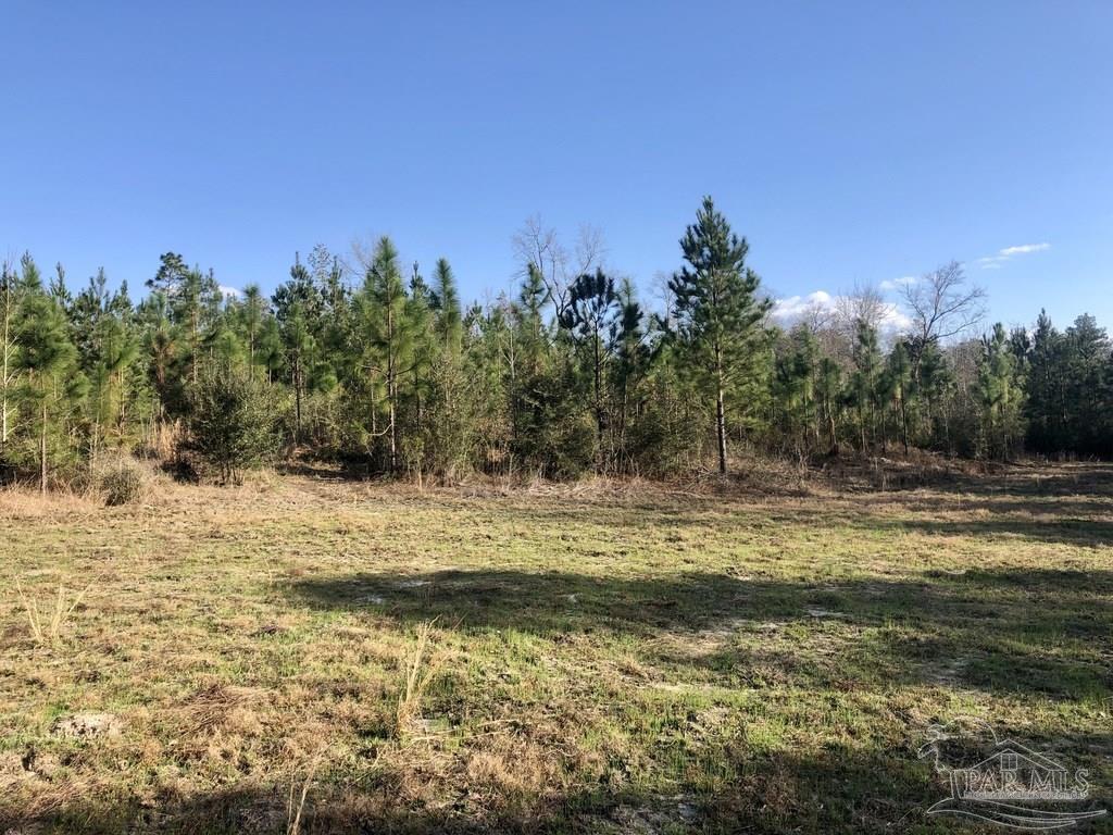 Lot 6-sw Gin Road Pace, FL 32571 - Photo 7 of 10 Gallery Image 7