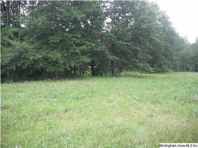 Sardis Road, Unit 1 Lineville, AL 36266 - Photo 11 of 22