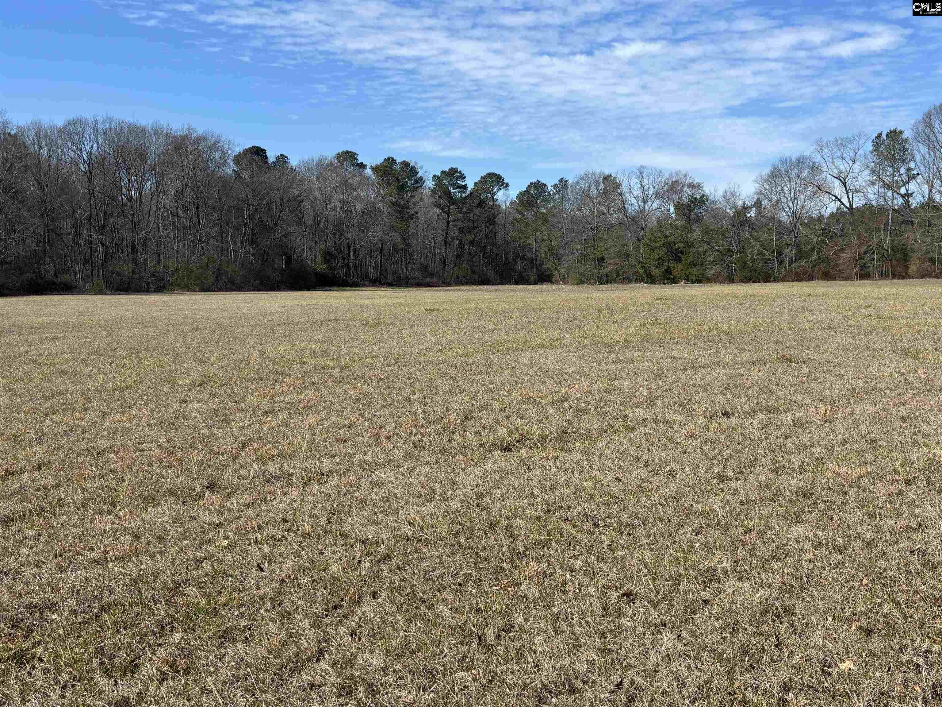 0 Bethany Road Saluda, SC 29138 - Photo 13 of 24
