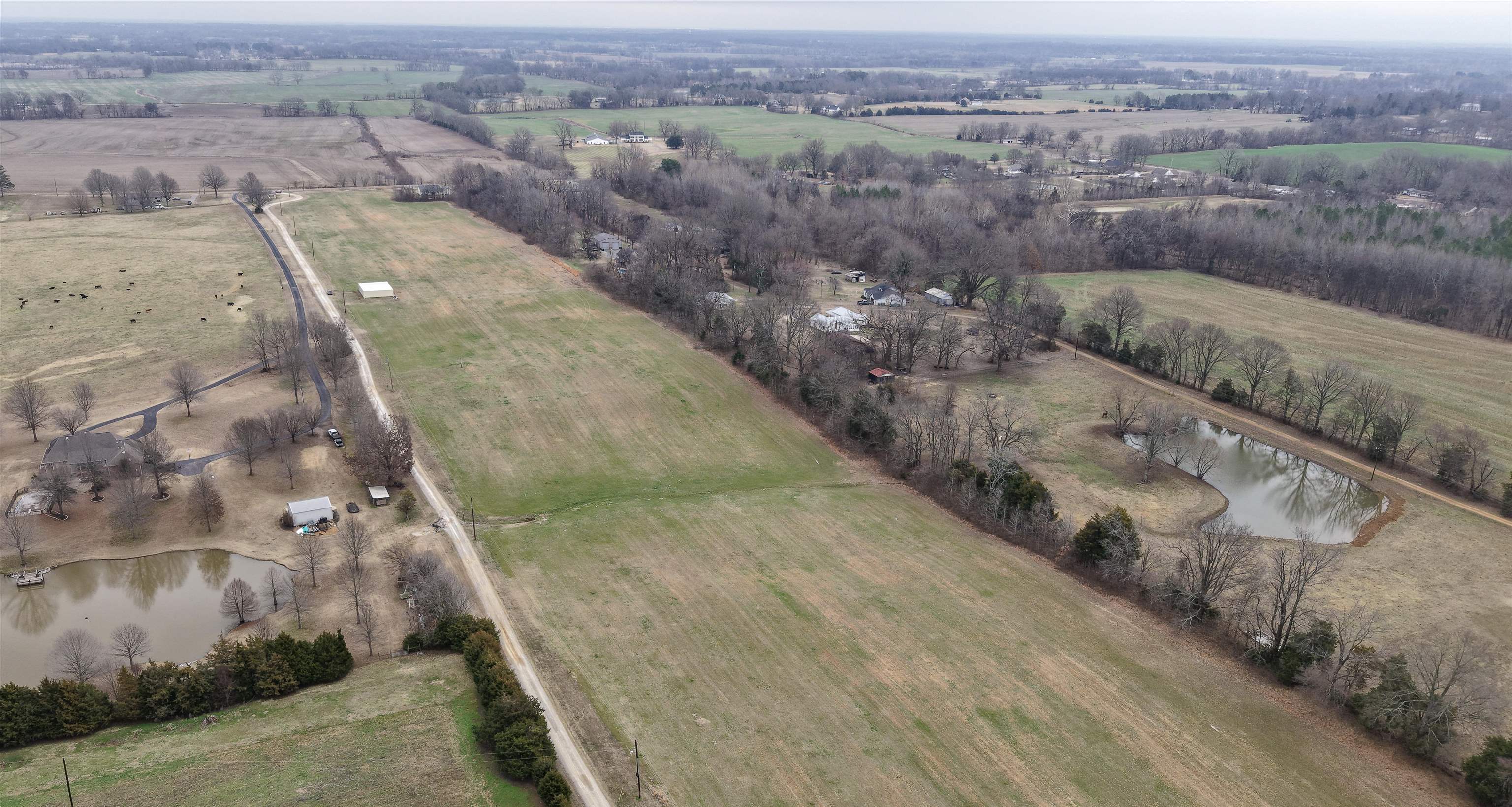 0 Mt Carmel Road Covington, TN 38019 - Photo 7 of 19
