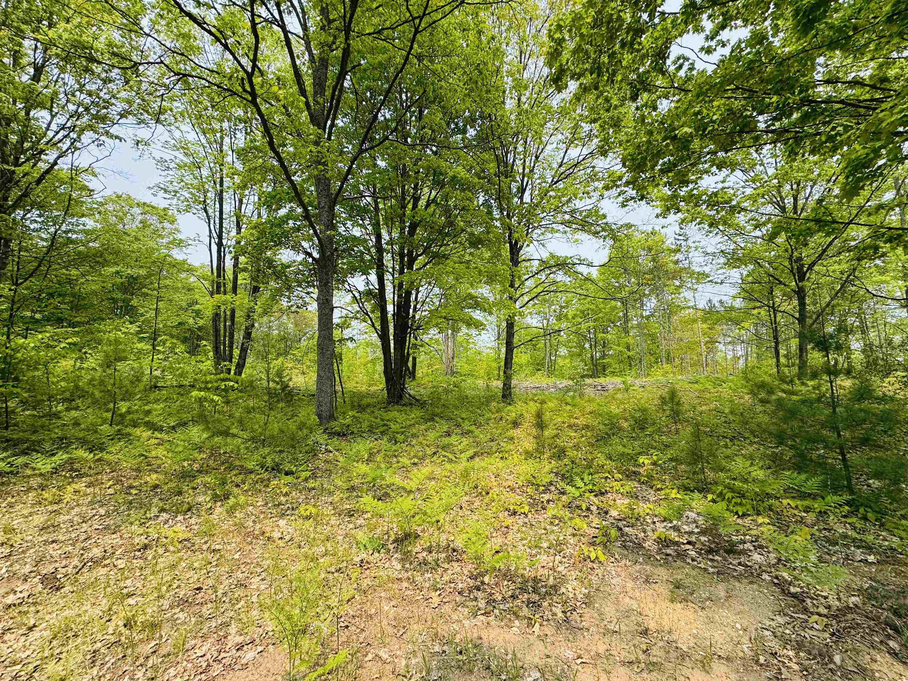 11711 22 3/4 Road Manton, MI 49663 - Photo 13 of 42